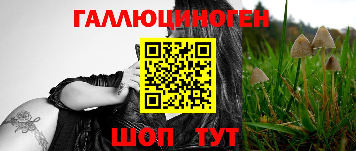 Галлюциногенные грибы мухоморы  Псилоцибиновые грибы Psilocybine cubensis  Вход с VPN  Унеча 