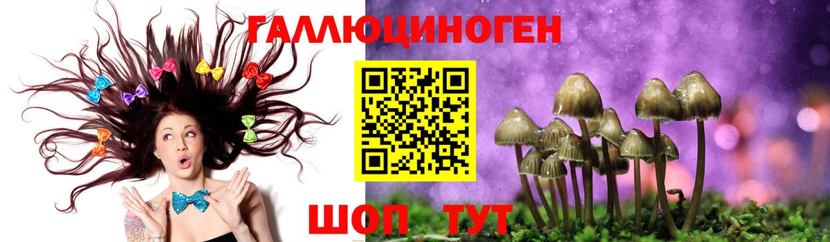 Галлюциногенные грибы MAGIC MUSHROOMS Унеча